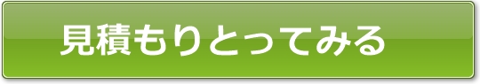 �V�Ԃ̌��ς���